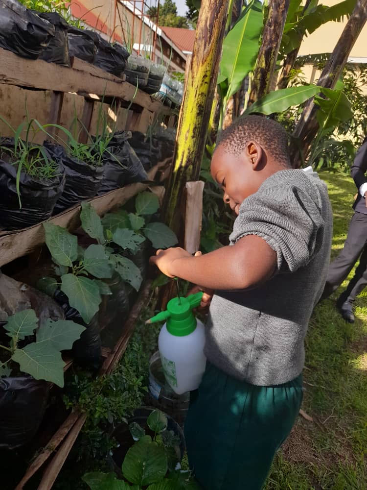 Progress of our vegetable garden