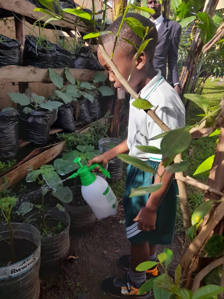 Progress of our vegetable garden
