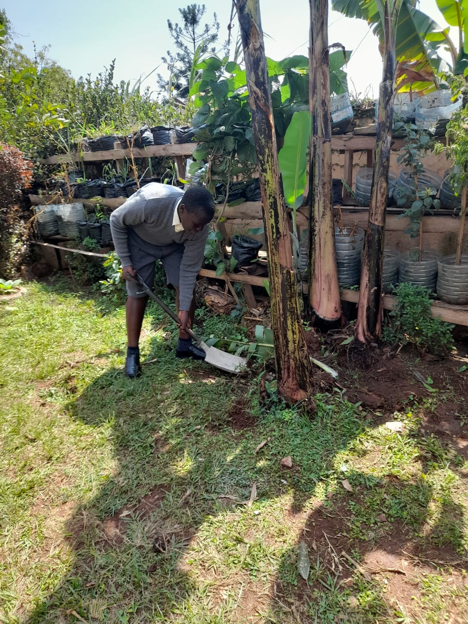 Kenneth, used a spade to dig, lift and move the soil.