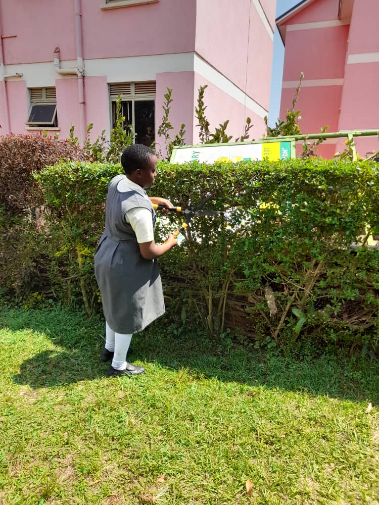 Noella, used a pruner to trim and shape the plant.